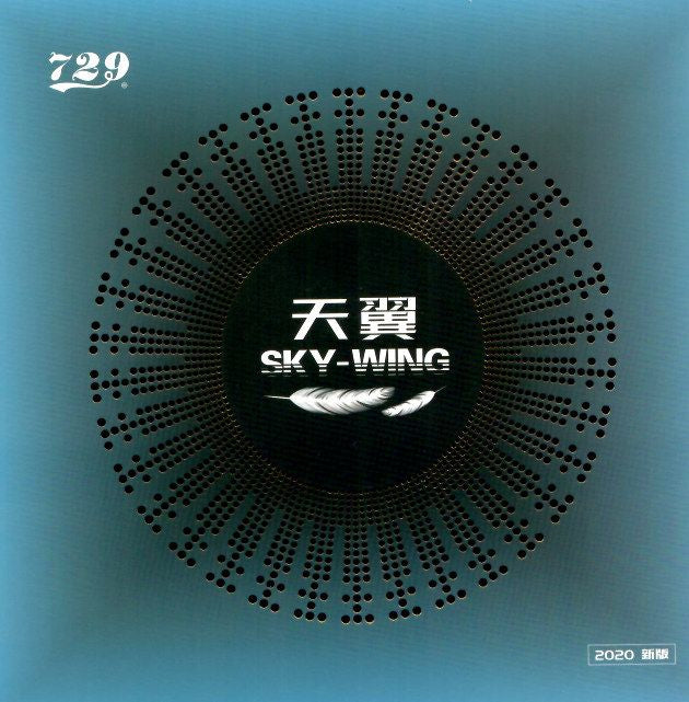 Friendship 729 Sky Wing